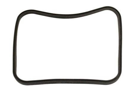 Hayward Strainer Cover Gasket | SPX1600S