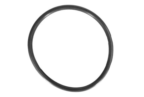 Hayward Lid O-Ring | CLX110K