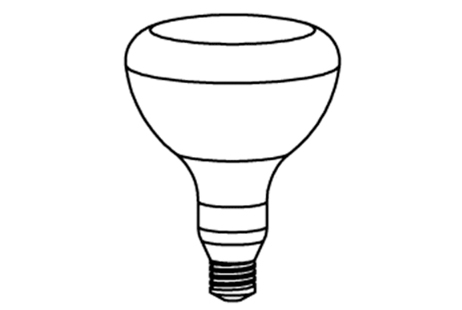 Pentair Floodlamp Medium Base 500W 120V | 79102100Z