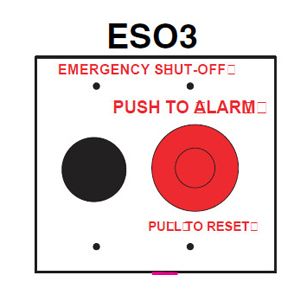 Pentair | Shut-Off Switch with Alarm | ESO3