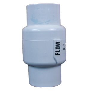 Pentair Rainbow Corrosion Resistant PVC Check Valve 1.5" x 2" | R172288