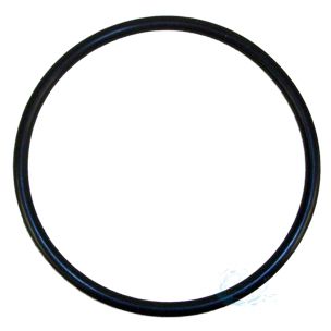 Rainbow Chlorinator Lid O-Ring R172009 | O-283V-9