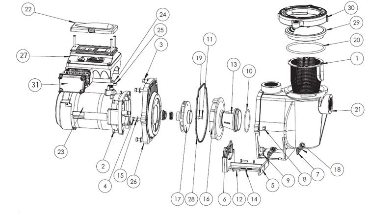 Sta-Rite IntelliPro 4x160 VS+SVRS Pool Pump | 400-3450 RPM | P6E6XS4H-209L Parts Schematic