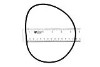 Hayward Housing O-Ring Gasket | SPX1705Z1