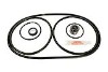 Seal & Gasket Kit for Pentair Pac-Fab Up-Rated Challenger Pool Pumps | GO-KIT5 APCK1046