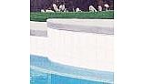 National Pool Tile 6x6 Solids Pool Tile | Glossy White | M6762